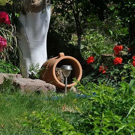 Apartment Korfes Kamilari
